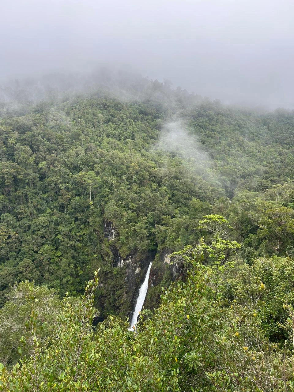 Cloud Forest & Quetzal Route 4